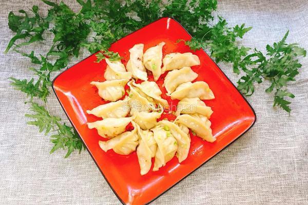 豆腐肉煎饺的做法图解13