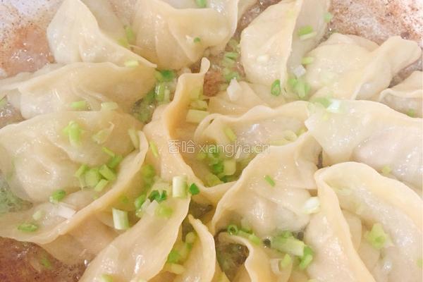 豆腐肉煎饺的做法图解12