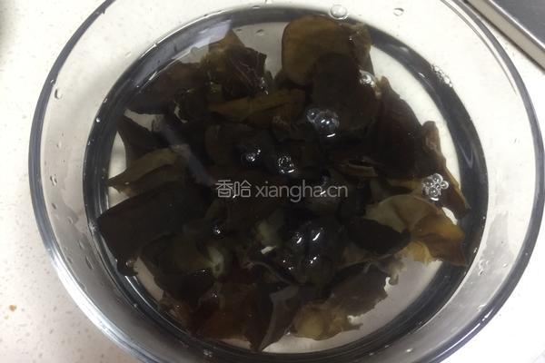 凉拌木耳的做法图解6