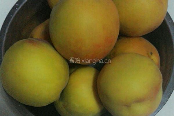 黄桃罐头的做法图解1