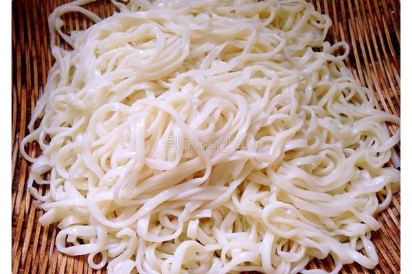 包菜肉丝炒面的做法图解6