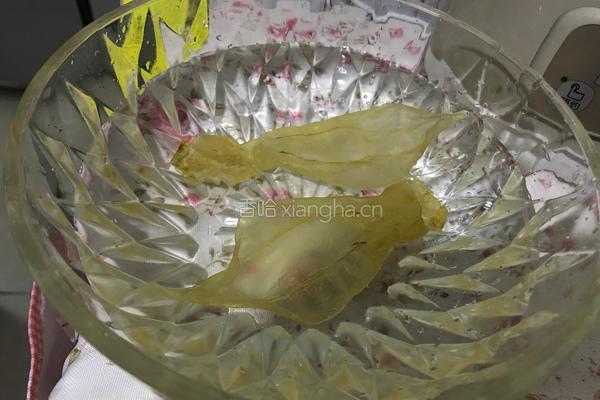 牛奶炖花胶的做法图解1