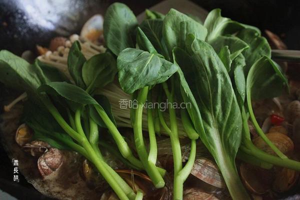 花甲粉的做法图解14