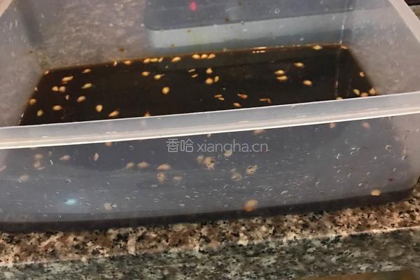 自制泡鸭爪的做法图解5