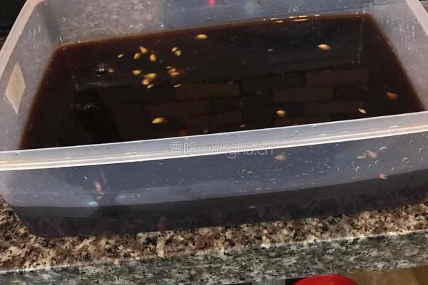 自制泡鸭爪的做法图解6