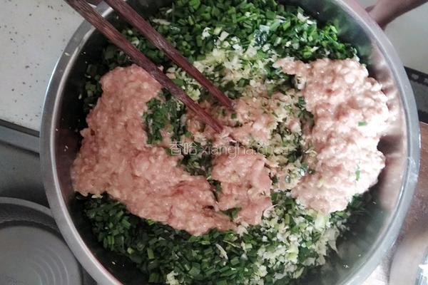 韭菜包菜猪肉饺子的做法图解6