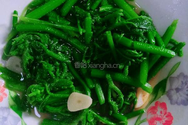 清炒南瓜藤的做法图解5