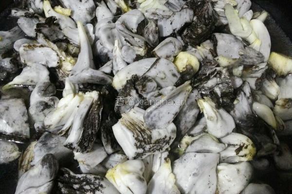 玉米黑粉菌的做法图解3