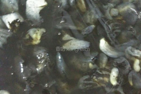 玉米黑粉菌的做法图解4