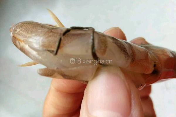 茄汁大虾的做法图解3