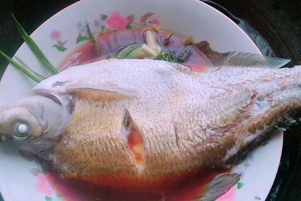 豆豉蒸鱼的做法图解4