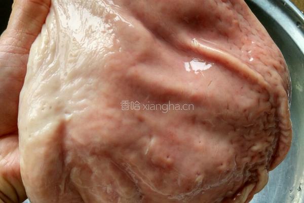 山药莲子猪肚汤的做法图解5