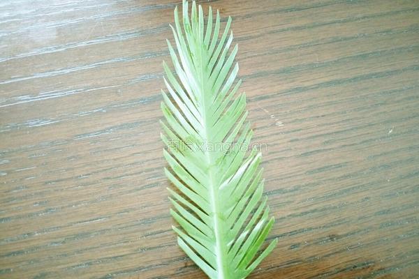 仿真孔雀开屏的做法图解5