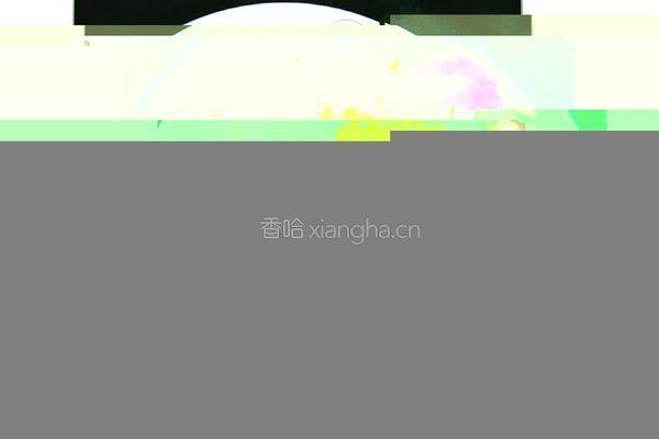 仿披萨绿色菜饼的做法图解3
