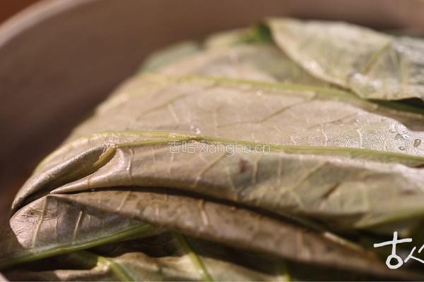 清 绿荷包饭的做法图解6