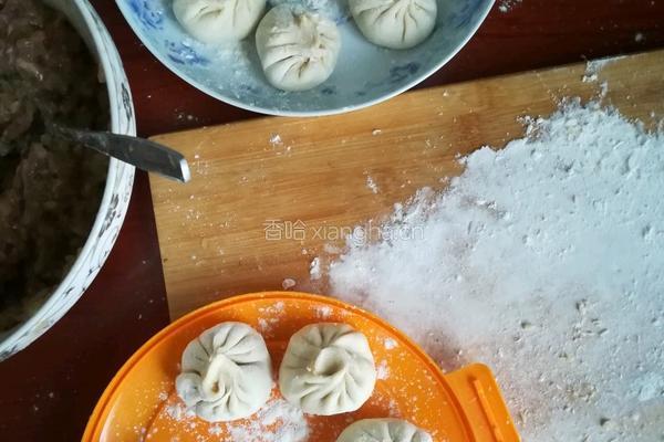 猪肉洋葱冬瓜灌汤小笼包的做法图解9