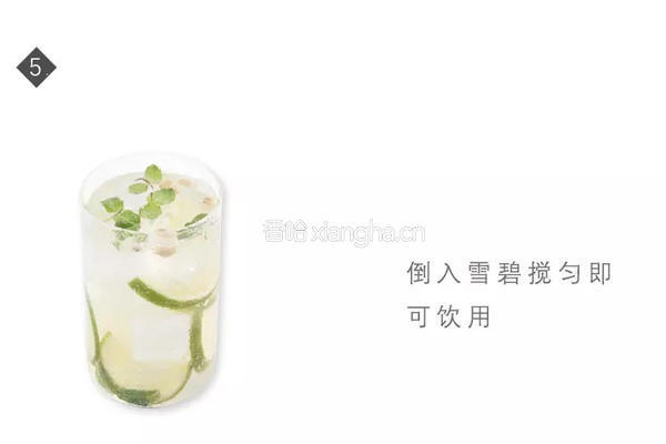 莫吉托的做法图解5