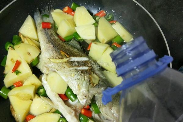 土豆烧鱼的做法图解4