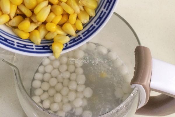 玉米圆子甜酒酿的做法图解9