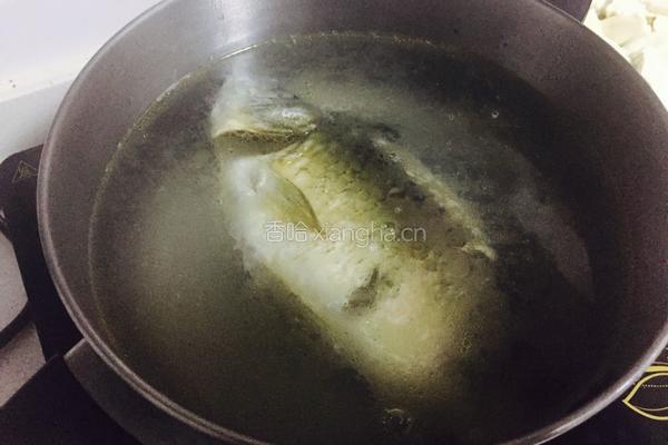 黑枸杞鲫鱼豆腐汤的做法图解7