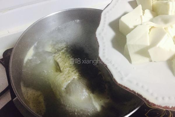 黑枸杞鲫鱼豆腐汤的做法图解8
