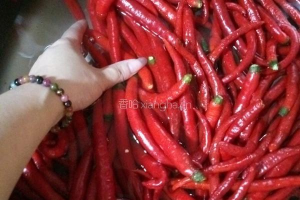 自家做的豆瓣酱的做法图解3