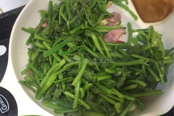 上汤南瓜藤的做法图解5
