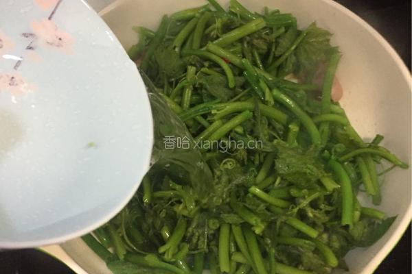 上汤南瓜藤的做法图解6