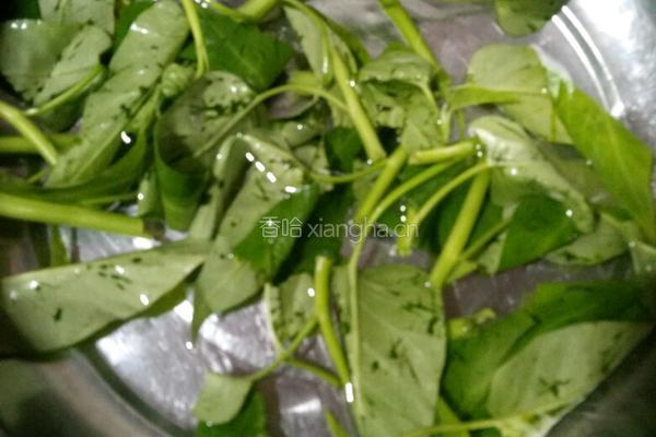鲜肉馅儿混沌的做法图解2