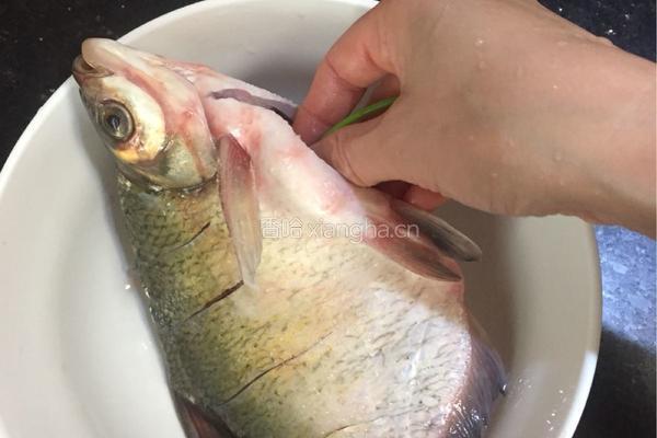 清蒸鳊鱼的做法图解4