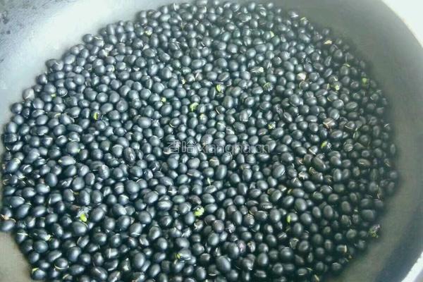 醋泡黑豆的做法图解6