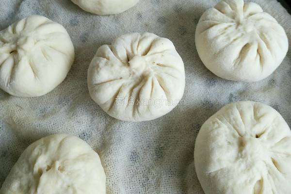 红糖核桃馅包子 蜜豆馅包子的做法图解23