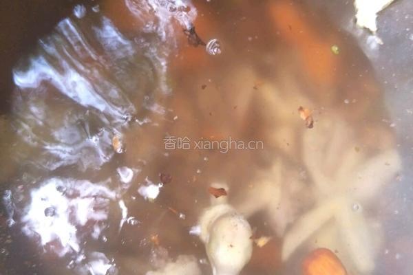 土茯苓绿豆老鸽汤的做法图解5