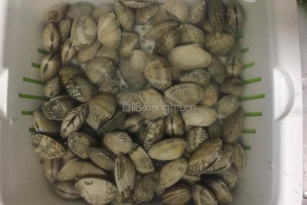 蒜香鲜辣花蛤的做法图解1