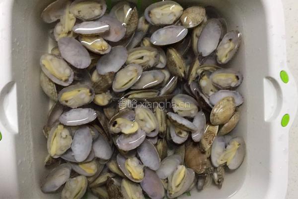 蒜香鲜辣花蛤的做法图解4