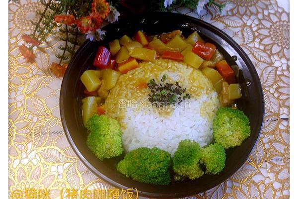 猪肉咖喱饭的做法图解12