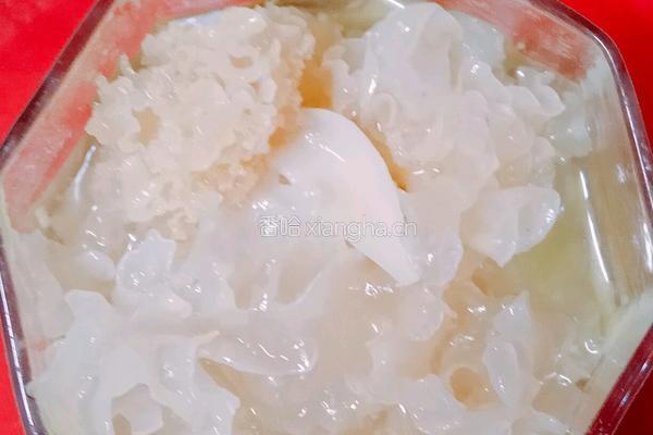牛油果雪耳甜品的做法图解5