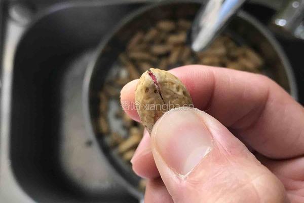 五香花生毛豆的做法图解3