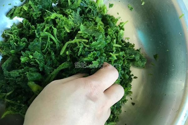 蒜末南瓜叶的做法图解2