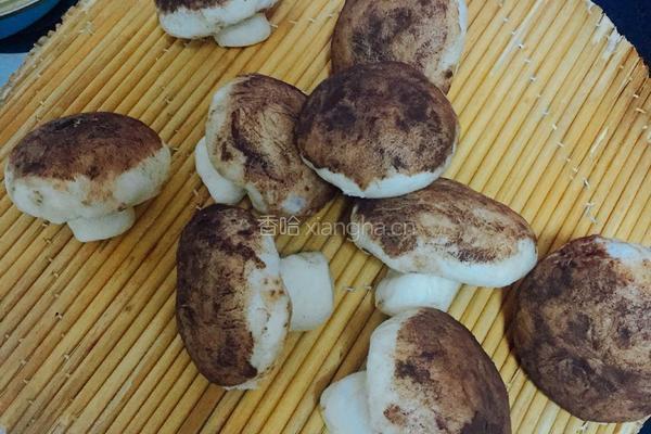 蘑菇豆沙包的做法图解17