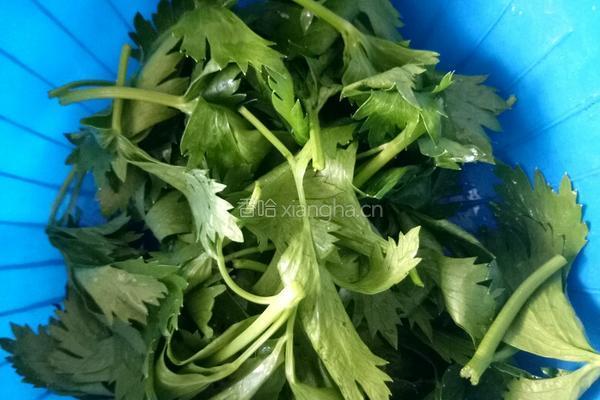 油炸芹菜叶的做法图解2