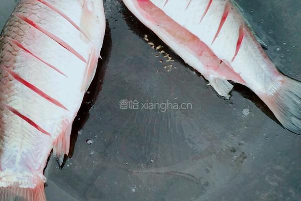 野生鲫鱼汤的做法图解2