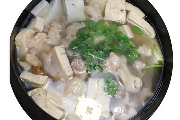 砂锅豆腐羊肉汤的做法图解9