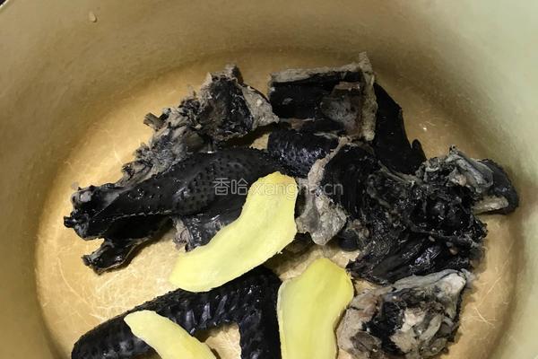 松茸炖乌鸡的做法图解5