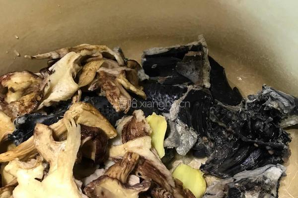 松茸炖乌鸡的做法图解6