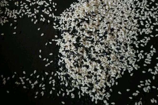 芝麻桂花南瓜泥的做法图解4