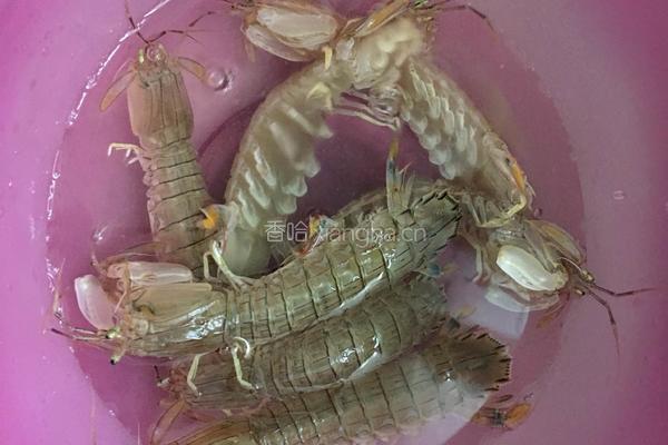 椒盐虾婆婆的做法图解1