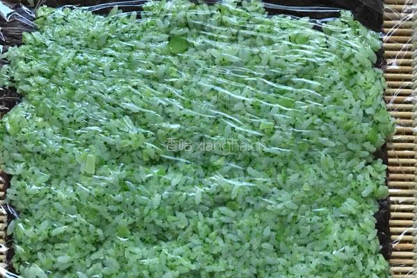 金枪鱼蔬菜包饭的做法图解4