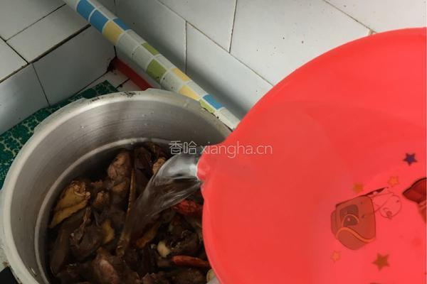 炖鸭子的做法图解6