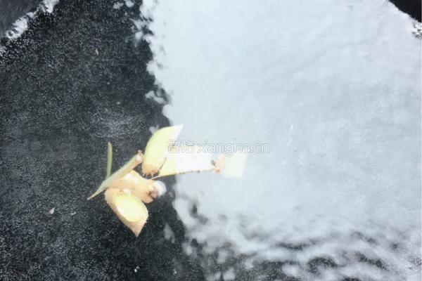 排骨番茄香菇汤的做法图解5